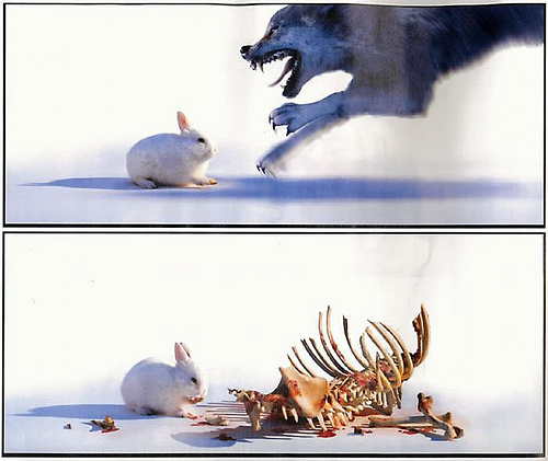 File:Rabbit eats Wolf.jpg