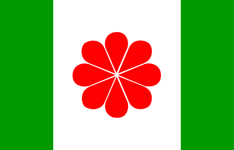 File:TaiwanFlag.png