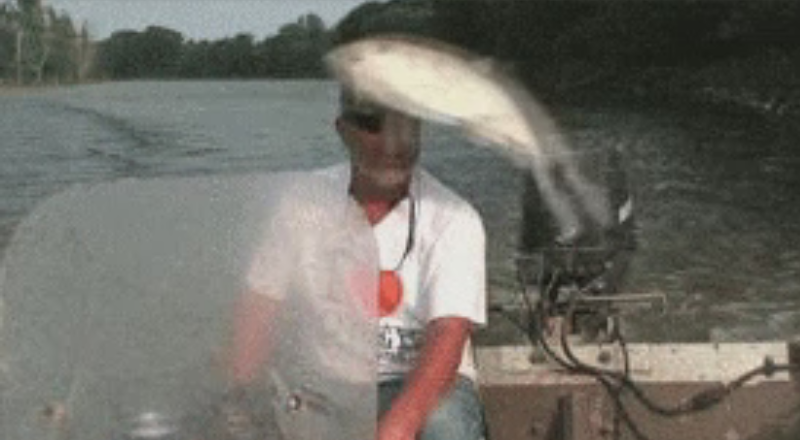 FishSlap7.png