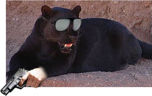 File:Panther2.0.jpg