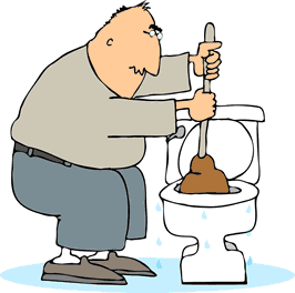 File:Plunging-toilet.gif