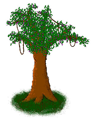 File:Sock tree.jpg