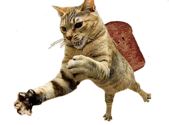 File:Flying cat.jpg