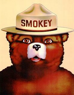File:Smokey-the-bear.jpeg