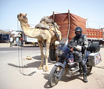 File:Camel and biker.jpg