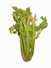 File:Celery.jpg