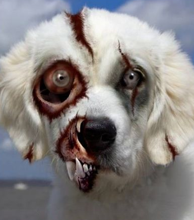 File:Zombie Puppy.png
