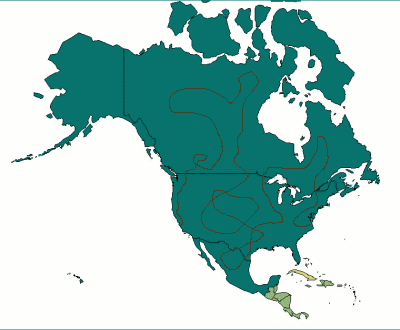 File:North-america route.GIF