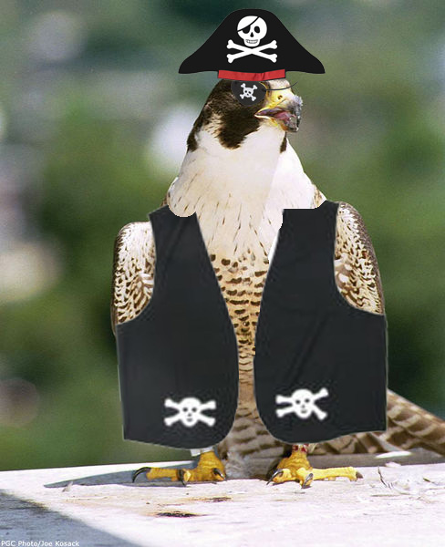 File:Captain Falcon.jpg