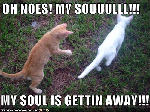 File:Funny-pictures-kitten-soul-escapes.jpg