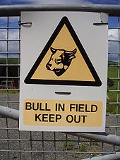 File:170px-Warning sign - bull in field - keep out.JPG
