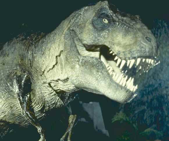 File:Jurassic park tyranosaurus rex.jpg