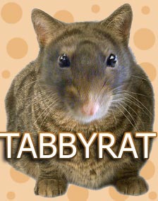 Tabbyrat-self-portrait.jpg