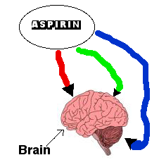 File:Aspirin&brain.png