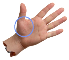 File:Hand-with-outline.jpg