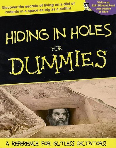 Hiding in holes for dummies.jpg