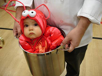 File:Baby-lobster.jpg