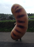 File:Giant inflatable sausage.jpg