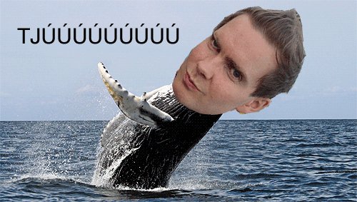 File:Jonsi whale.gif