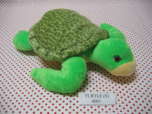 File:Turtle(s).jpg