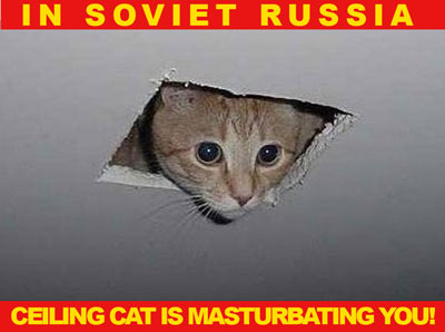 File:Ceiling cat.jpg