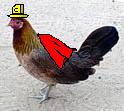 File:Chicken man.jpg
