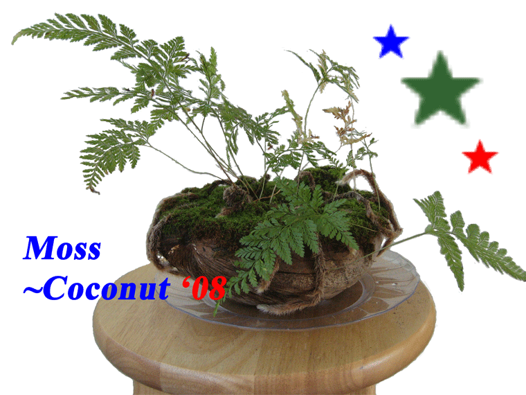 File:Mosscoconut 2008.png