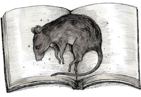 File:Dead-rat-on-book.jpg