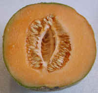 File:Melon-cantaloupe-split small.jpg