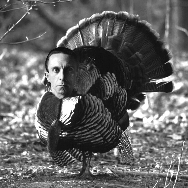 File:Goebbels-turkey.jpg