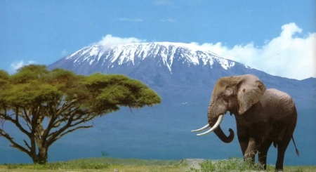 File:Kilimanjaro.jpg