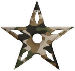 File:Camostar.png