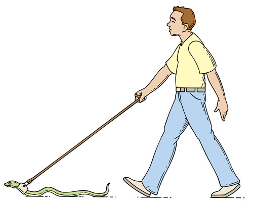 File:Illustration snake leash.jpg