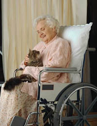 File:Old lady in wheelchair.jpg