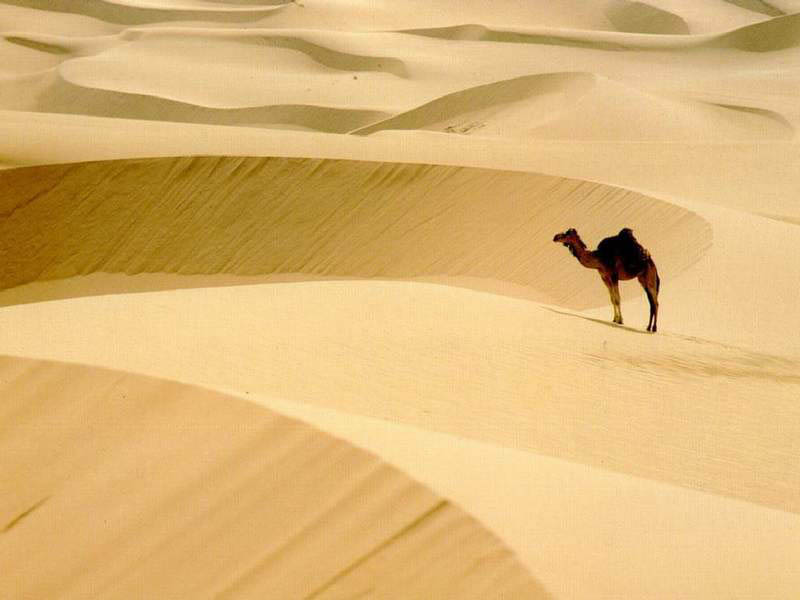 File:Sahara.jpg
