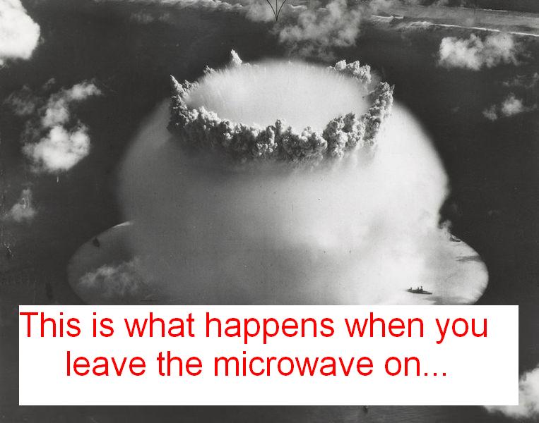 File:Microwave.JPG