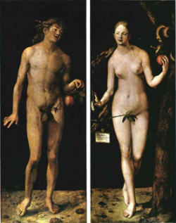 File:Durer Adam and Eve s.jpg