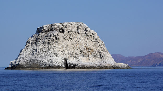 File:Guano island.jpg
