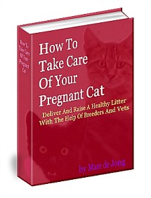 File:Pregnant-cat-book-small.jpg