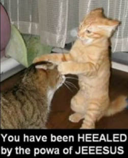 File:Cat-Healing.jpg
