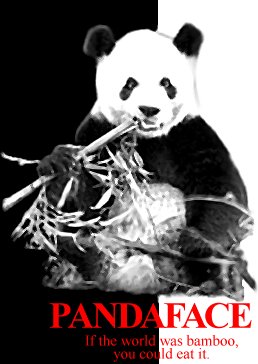 File:Pandafaceimage.jpg