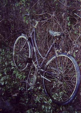 File:Bicycle01.jpg