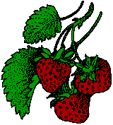 File:Strawberry14.png
