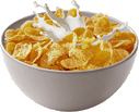 File:Cereal bowl.png