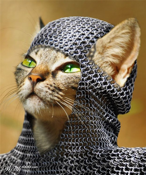 File:Medieval-kitty-photomanipulation.jpg