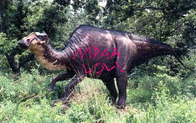 File:Vandalasaurus.JPG