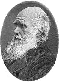 File:Darwin.jpg
