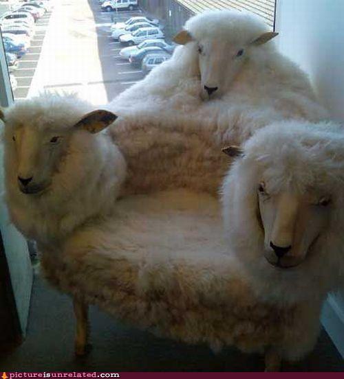 File:Three headed sheep chair.jpg