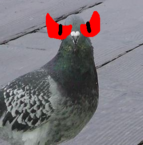 File:Evilpigeon.png