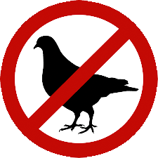 File:No Pigeons.png